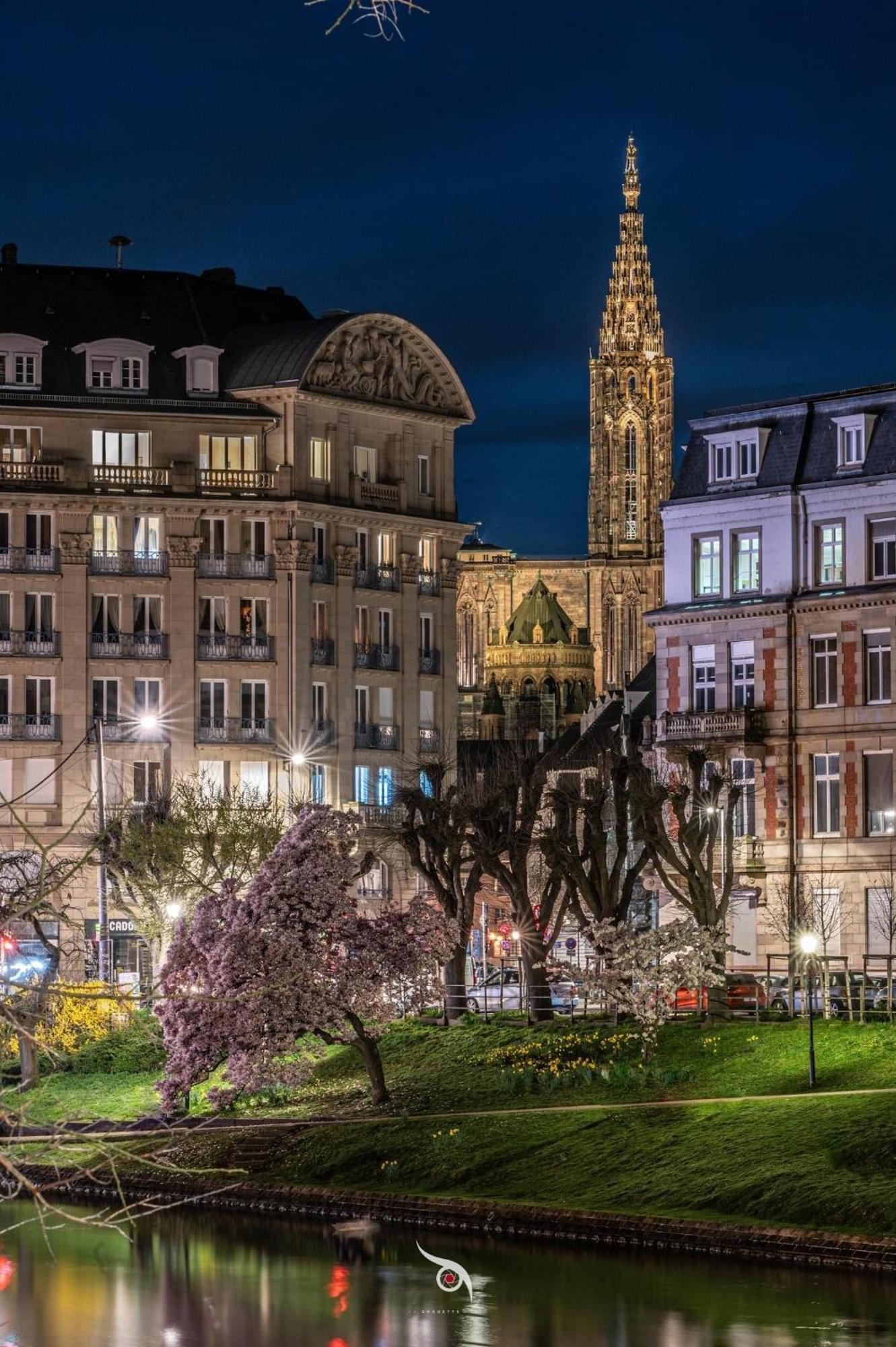 Appart & Studio Hyper Centre De Strasbourg - Proche Cathedrale & Petite France Exterior foto