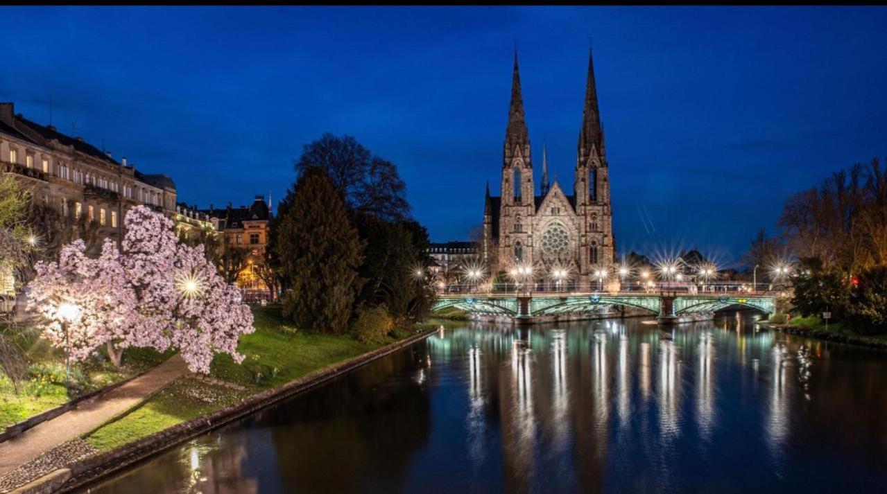 Appart & Studio Hyper Centre De Strasbourg - Proche Cathedrale & Petite France Exterior foto
