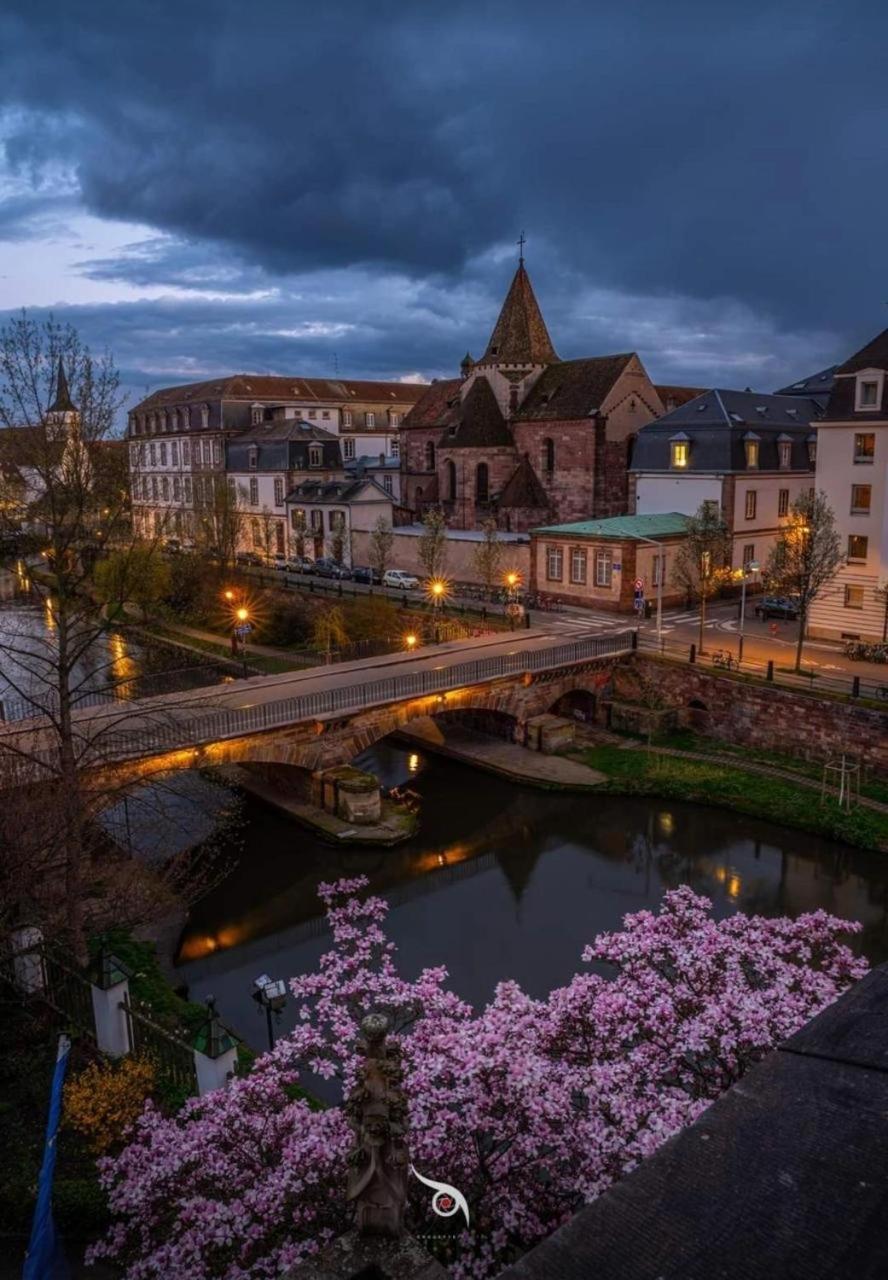 Appart & Studio Hyper Centre De Strasbourg - Proche Cathedrale & Petite France Exterior foto